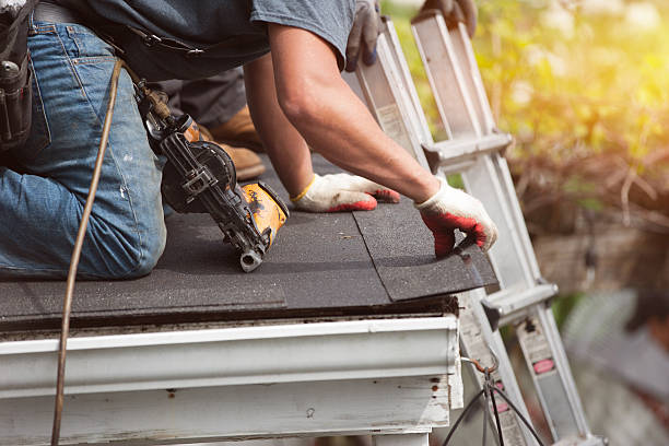Best Roof Gutter Cleaning  in Gainesville, FL